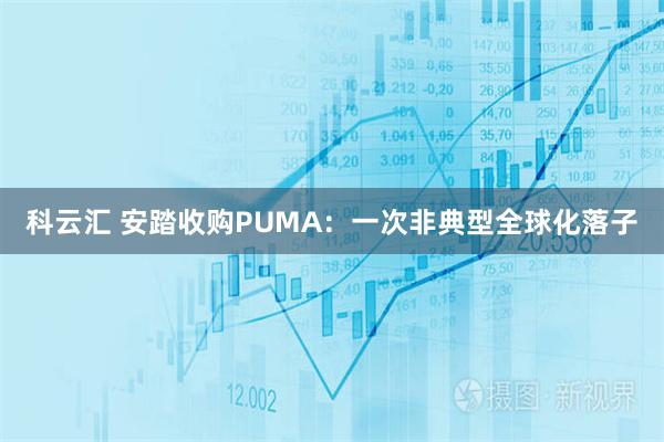 科云汇 安踏收购PUMA：一次非典型全球化落子