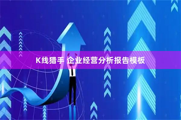 K线猎手 企业经营分析报告模板