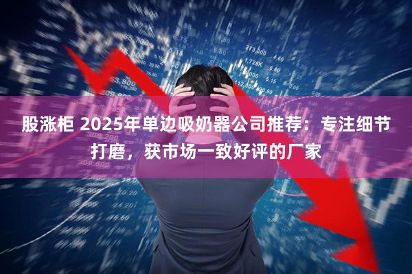 股涨柜 2025年单边吸奶器公司推荐：专注细节打磨，获市场一致好评的厂家