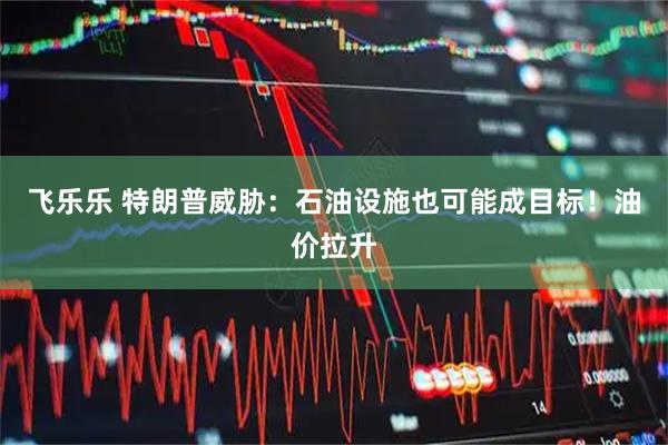 飞乐乐 特朗普威胁：石油设施也可能成目标！油价拉升