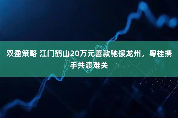 双盈策略 江门鹤山20万元善款驰援龙州，粤桂携手共渡难关